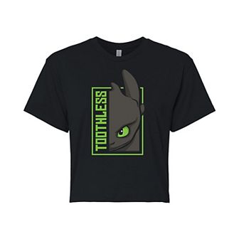Juniors' How To Train Your Dragon Cropped Tee