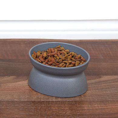 Kitty City Raised Pet Bowl