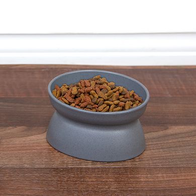 Kitty City Raised Pet Bowl 