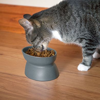 Kitty City Raised Pet Bowl
