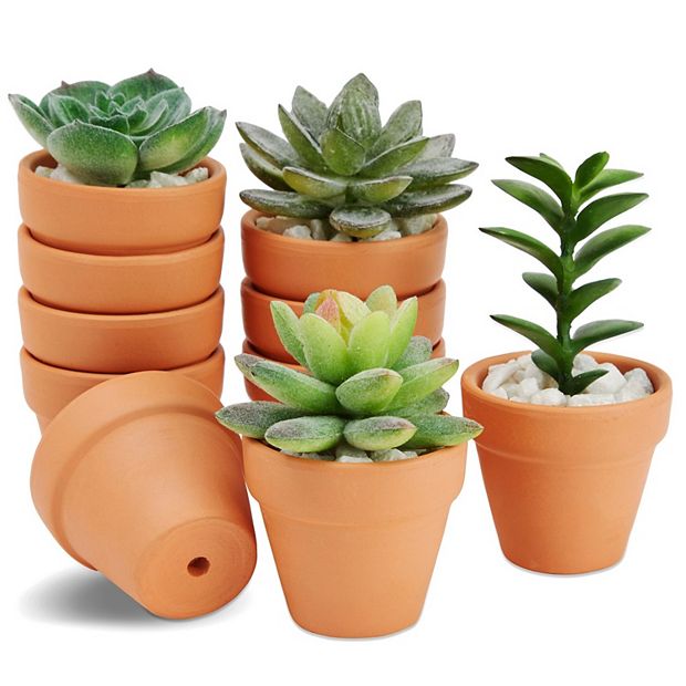 10-Pack 2-Inch Mini Terracotta Pots for Gardening, Mini Flower