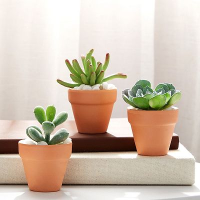 10-Pack 2-Inch Mini Terracotta Pots for Gardening, Mini Flower