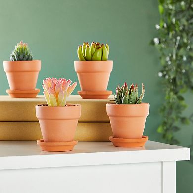 16-Pack Terra Cotta Pots with Saucer and Drain Hole, Planters for Flowers