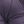 Dark Lilac
