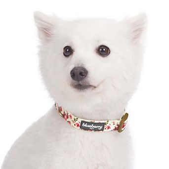 Blueberry Pet Spring Floral Ivory Dog Collar