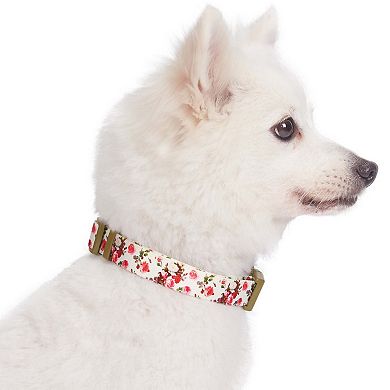 Blueberry Pet Spring Floral Ivory Dog Collar