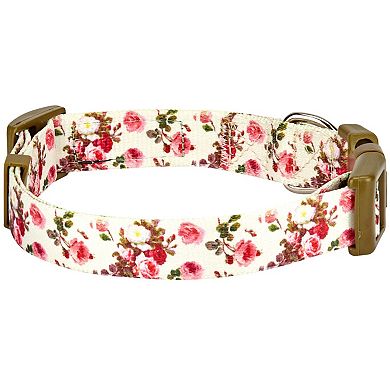 Blueberry Pet Spring Floral Ivory Dog Collar