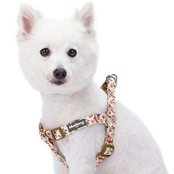 Blueberry Pet Spring Floral Ivory Dog Harness