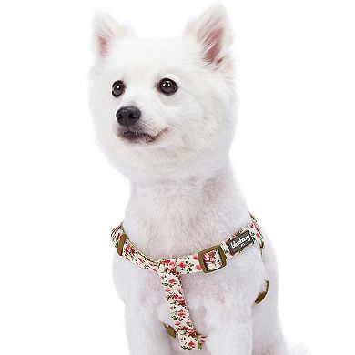 Blueberry Pet Spring Floral Ivory Dog Harness
