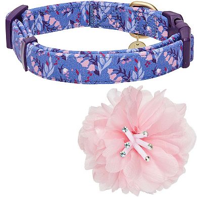 Blueberry Pet Floral Power & Pink Peony Accent Dog Collar 