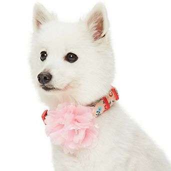 Blueberry Pet Floral Power & Pink Peony Accent Dog Collar