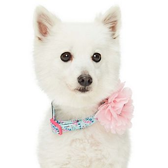 Blueberry Pet Floral Power & Pink Peony Accent Dog Collar