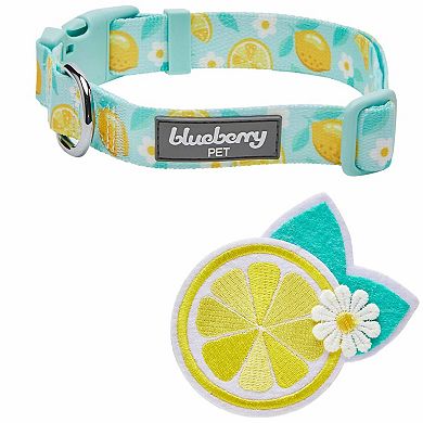 Blueberry Pet Zesty Fruit Dog Collar