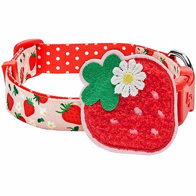 Blueberry Pet Zesty Fruit Dog Collar