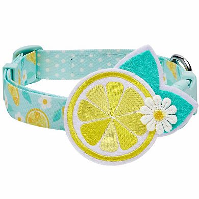 Blueberry Pet Zesty Fruit Dog Collar