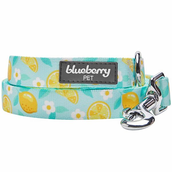 Blueberry Pet Zesty Fruit Dog Leash