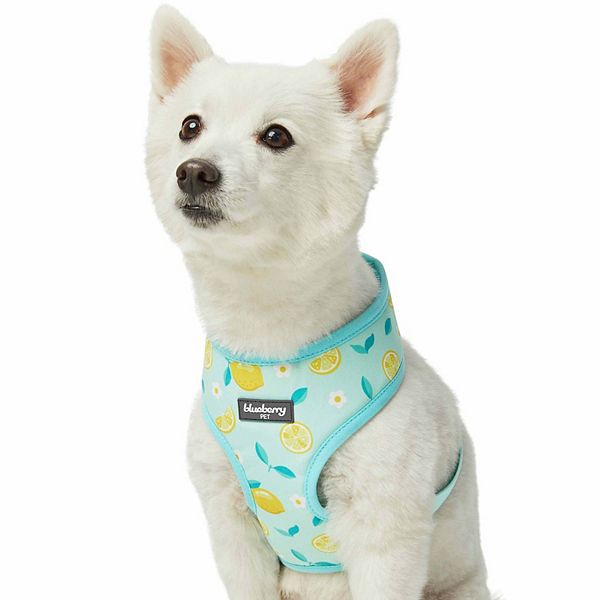 Blueberry pet sale harness