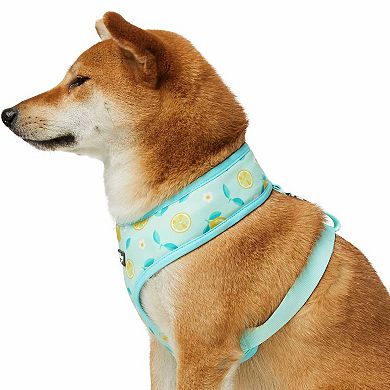 Blueberry Pet Zesty Fruit Dog Harness Vest