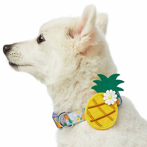 Blueberry Pet Zesty Fruit Dog Collar