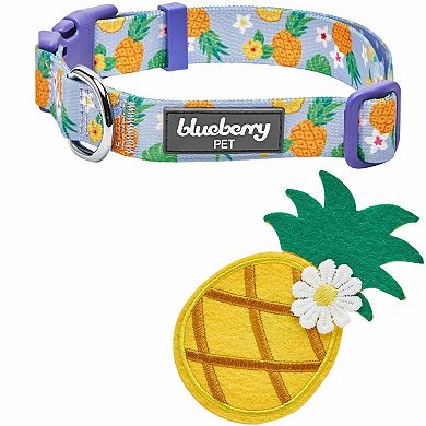 Blueberry Pet Zesty Fruit Dog Collar