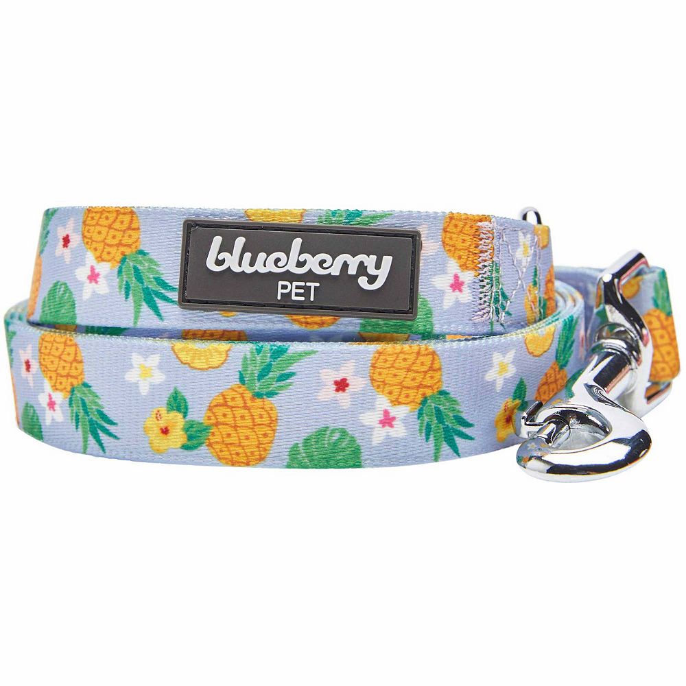 Blueberry Pet Zesty Fruit Dog Leash - Fruits For Dog Leash Training