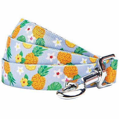 Blueberry Pet Zesty Fruit Dog Leash