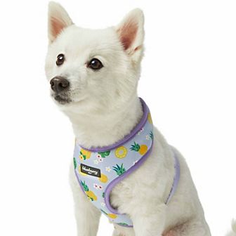 Blueberry Pet Zesty Fruit Dog Harness Vest