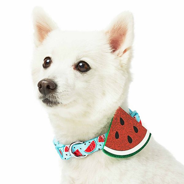 Image showcasing Blueberry Pet Zesty Fruit Dog Collar