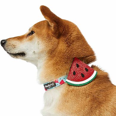 Blueberry Pet Zesty Fruit Dog Collar