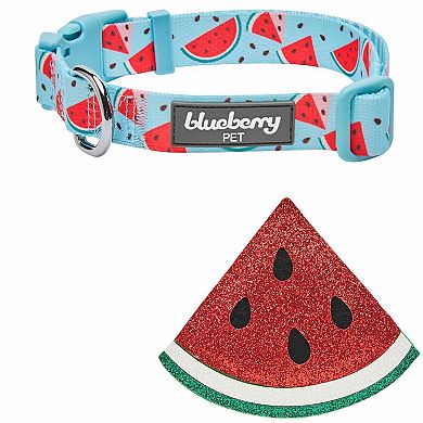 Blueberry Pet Zesty Fruit Dog Collar
