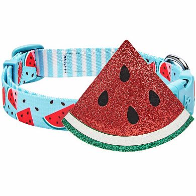 Blueberry Pet Zesty Fruit Dog Collar