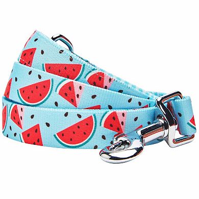 Blueberry Pet Zesty Fruit Dog Leash