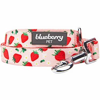 Blueberry Pet Zesty Fruit Dog Leash