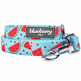 Blueberry Pet Zesty Fruit Dog Leash
