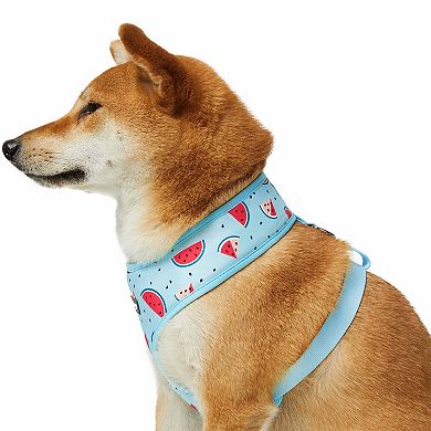 Blueberry Pet Zesty Fruit Dog Harness Vest