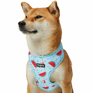 Blueberry Pet Zesty Fruit Dog Harness Vest