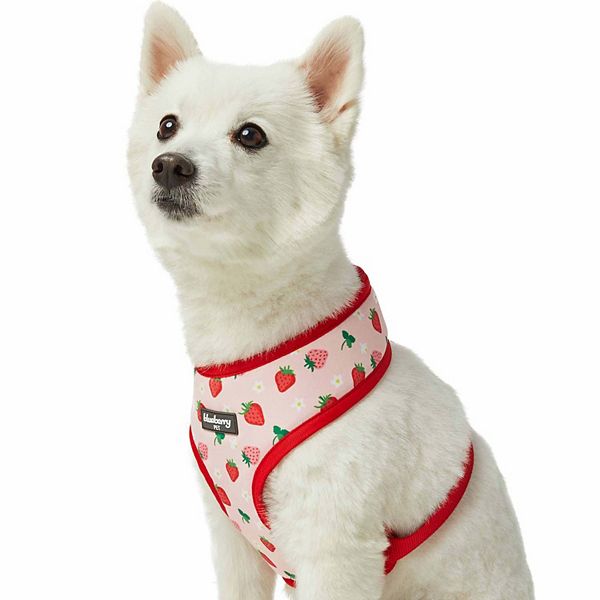 Blueberry pet dog sales harness