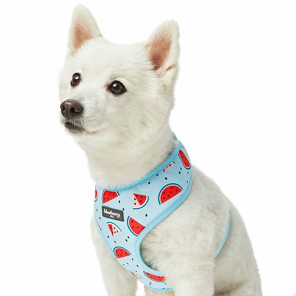 Blueberry Pet Zesty Fruit Dog Harness Vest - Slices Of Watermelon (X SMALL)