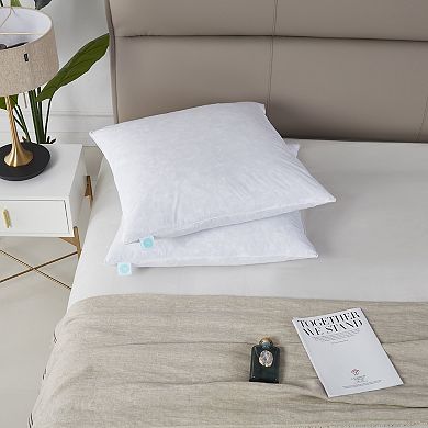 Martha Stewart Medium Firm 2-Pack Feather Euro Pillow Inserts