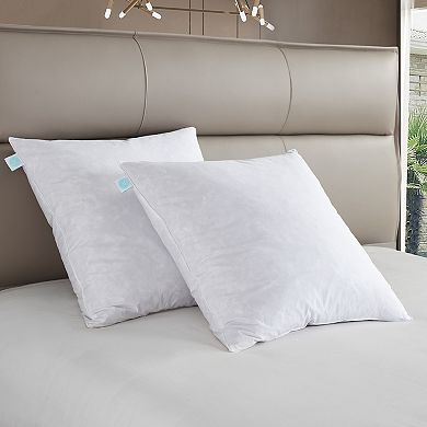 Martha Stewart Medium Firm 2-Pack Feather Euro Pillow Inserts