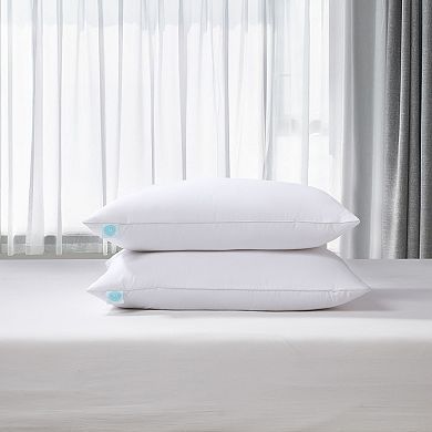 Martha Stewart TENCEL™ Lyocell over White Feather & Down 2 Pack of Pillows
