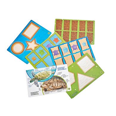 Tactile Turtles Math Activity Set