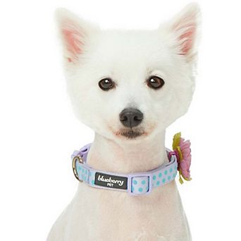 Blueberry Pet Dog Velvety Polka Dot Attached Flower Collar