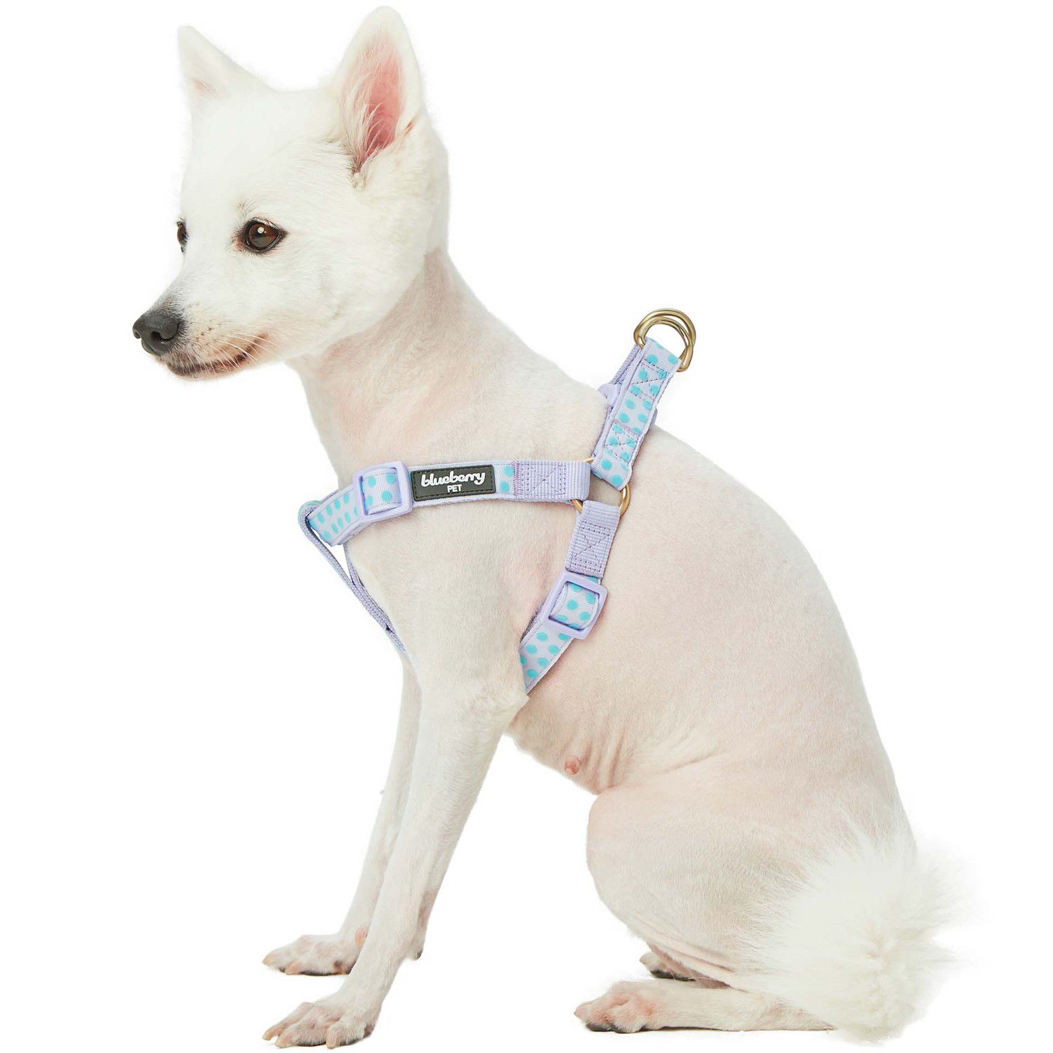 Blueberry Pet Zesty Fruit Dog Harness Vest