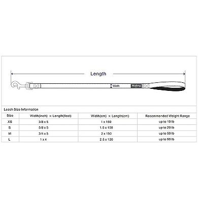 Blueberry Pet Dog Velvety Polka Dot Flocking Leash