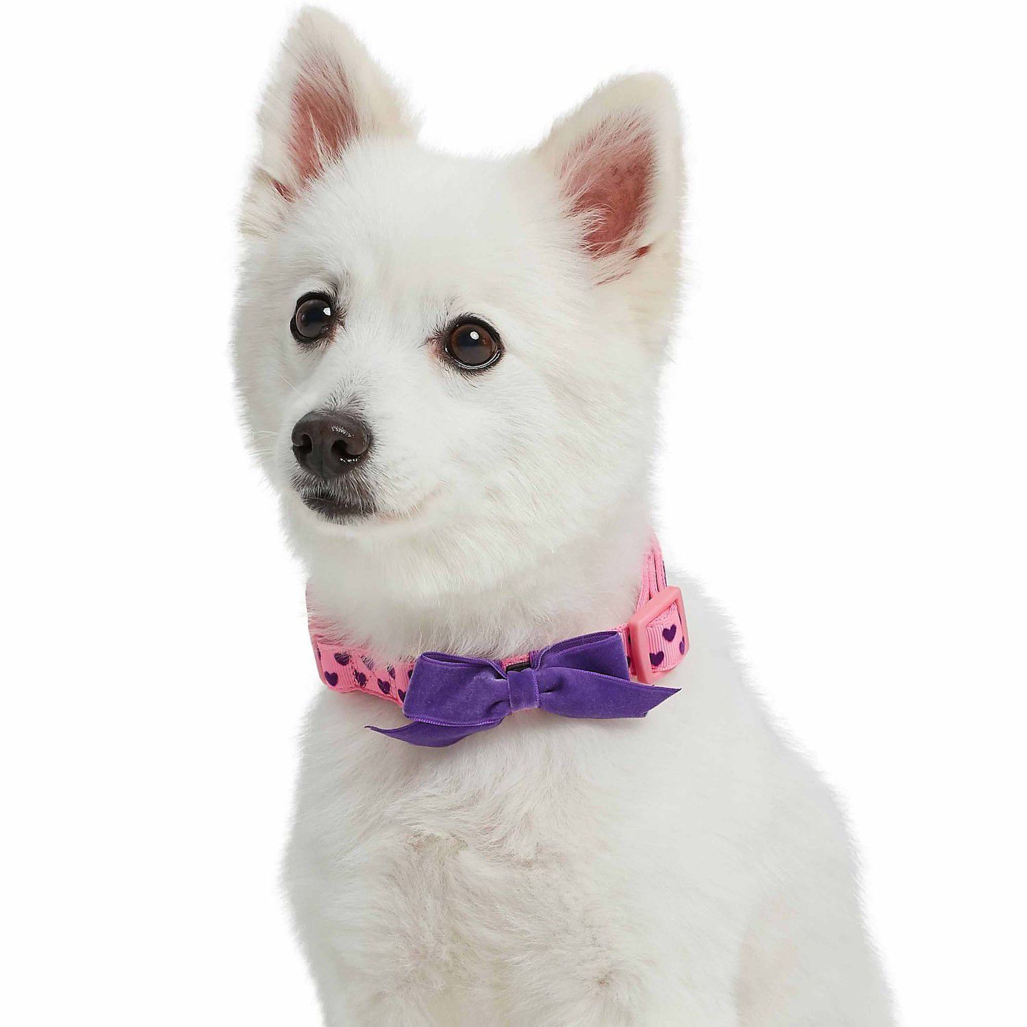 Dog harness with clearance bow