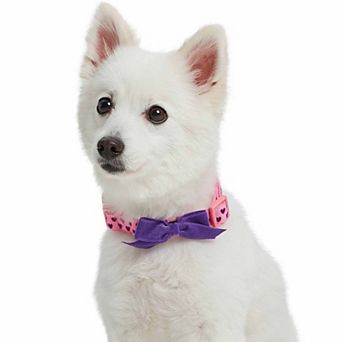 Blueberry Pet Dog Velvety Heart Flocked Collar with Bow