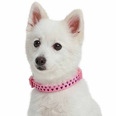 Blueberry Pet Dog Velvety Heart Flocked Collar with Bow