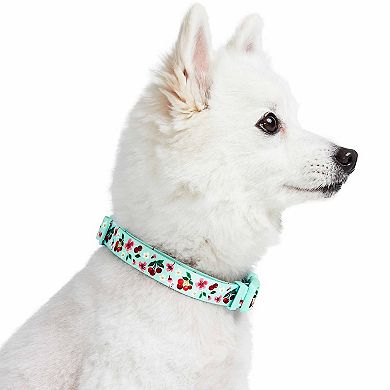 Blueberry Pet Dog Cherry Garden Floral Collar