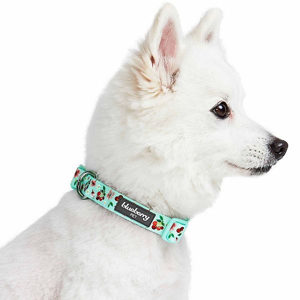 Colette Cream Metallic Floral Dog Collar – The Foggy Dog